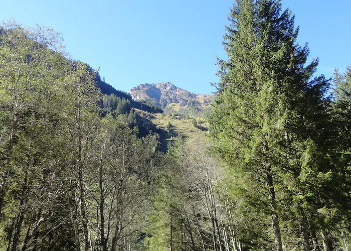 아파트 Haus Schraberger 슈라드밍